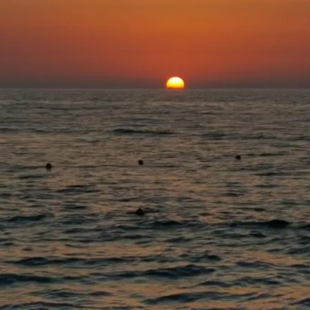 Aegean מלון דירות הרסוניסוס